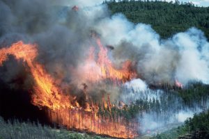 Canadian-wildfire-CFS-300x200.jpg